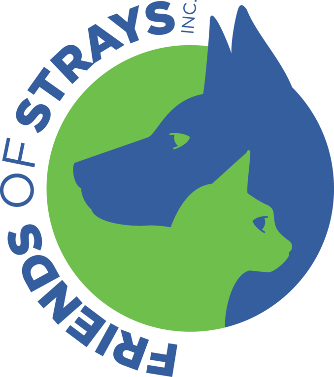 Friends Of Strays Animal Shelter - Friends Of Strays St Petersburg Fl (678x767)