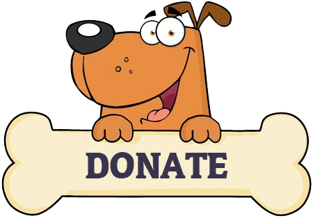 Donate Dog - Donate For A Dog (450x314)