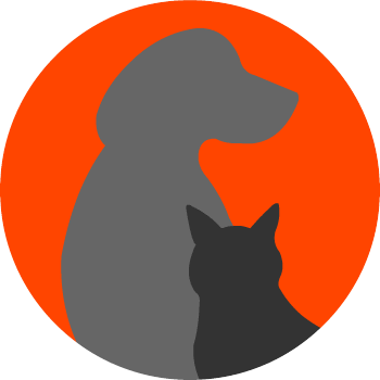 Amigos De Los Animales De Todos Santos Logo - Black Cat (350x350)