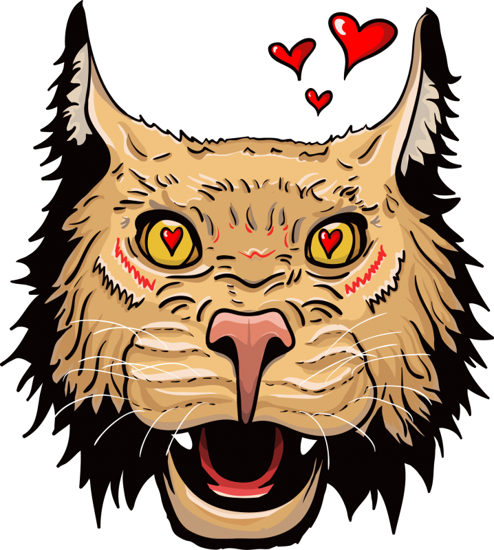 Valentine Bobcat - Illustration (1633x1819)