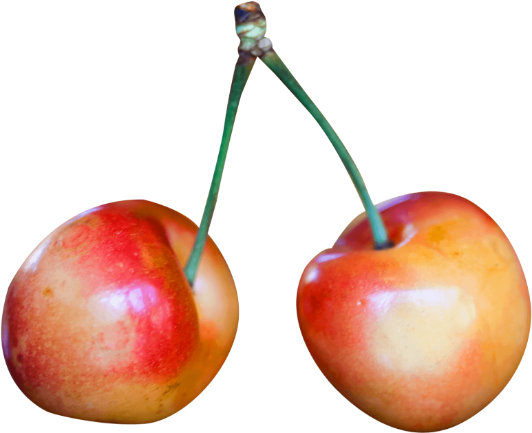 Cherry Clipart Transparent Background - Rainier Cherry Png (850x688)