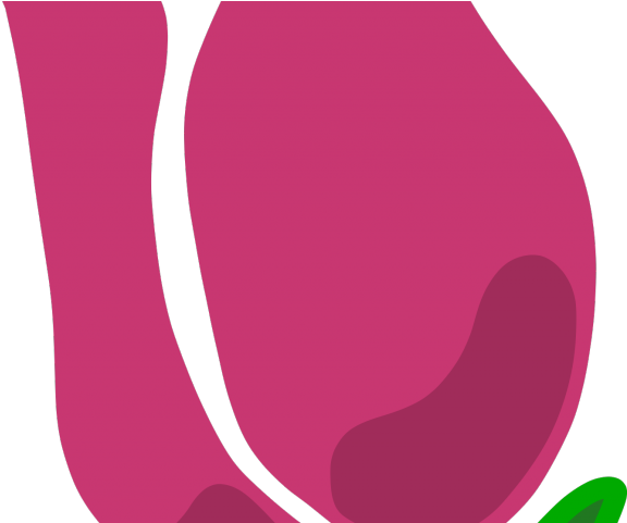 Bud Clipart Sweetheart Rose - Bud Clipart Sweetheart Rose (640x480)