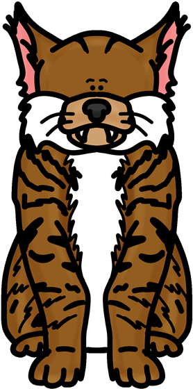Decorative Illustration Of Bobcat - Decorative Illustration Of Bobcat (500x667)