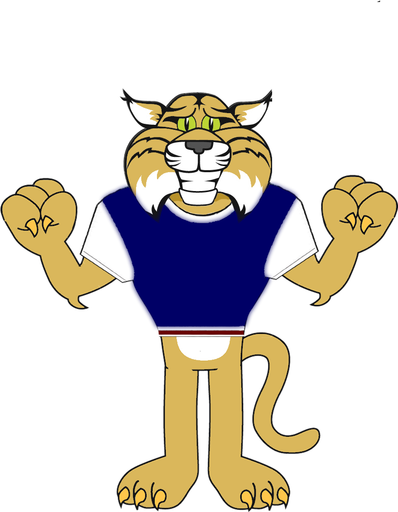 Cartoon Bobcat - Bobcat Cartoon (820x1004)