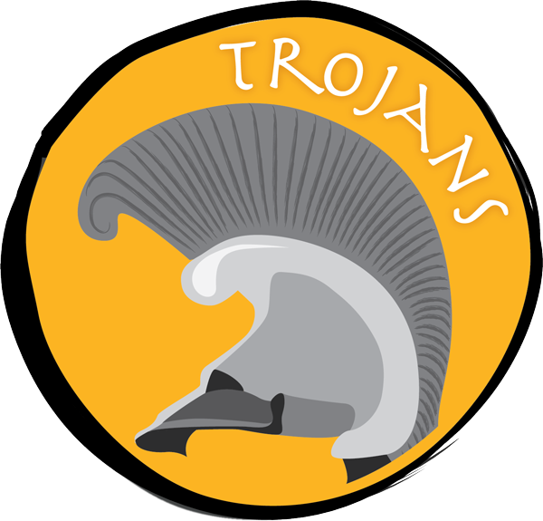 An Acs Athens Tradition Since 1950 That Consists Of - An Acs Athens Tradition Since 1950 That Consists Of (600x575)