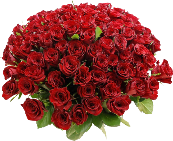 Rose Png 6, Buy Clip Art - Jumma Mubarak Gif 2018 (595x485)
