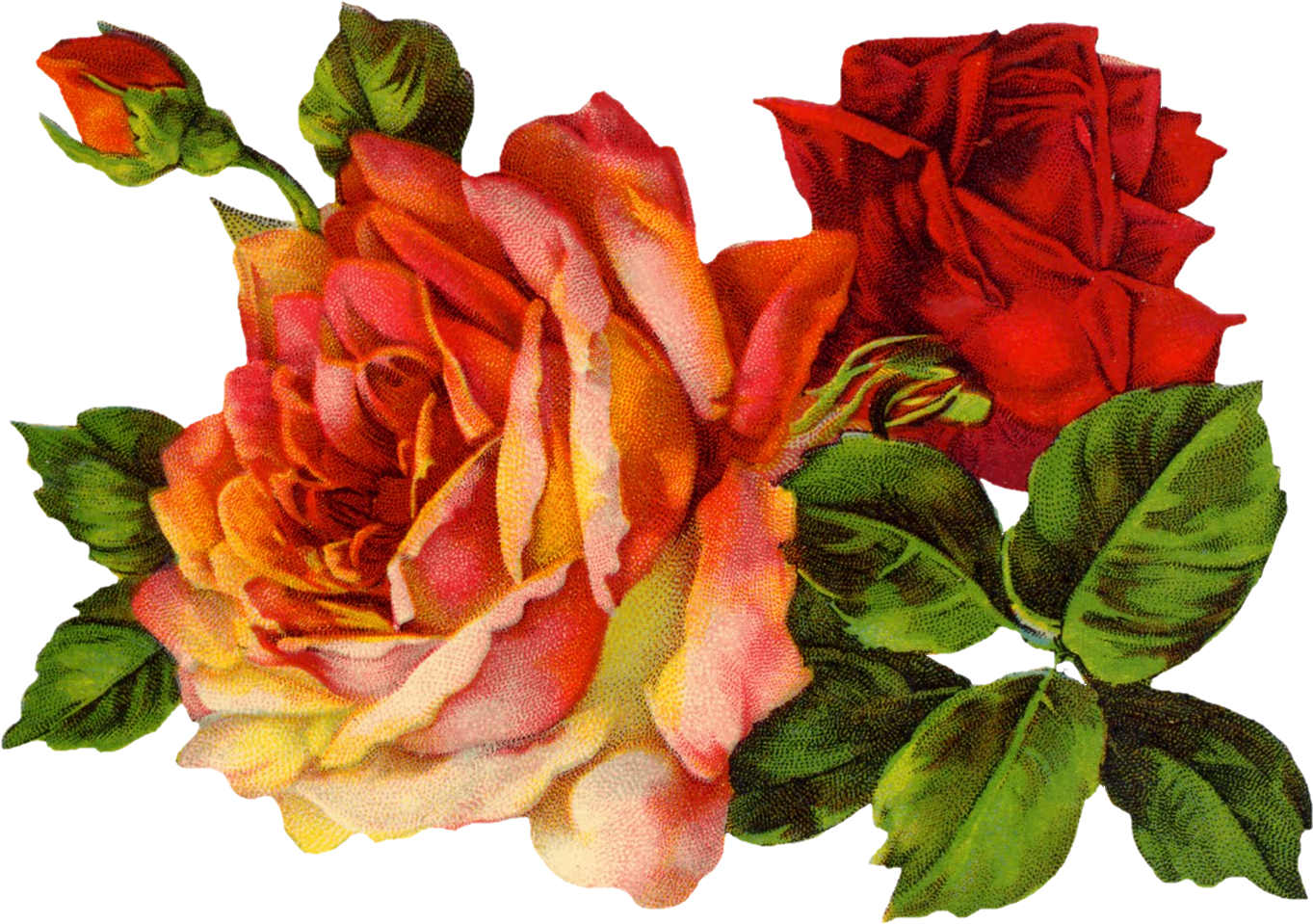 Hd Top, Three Roses - Bettie Page Collage (1376x971)