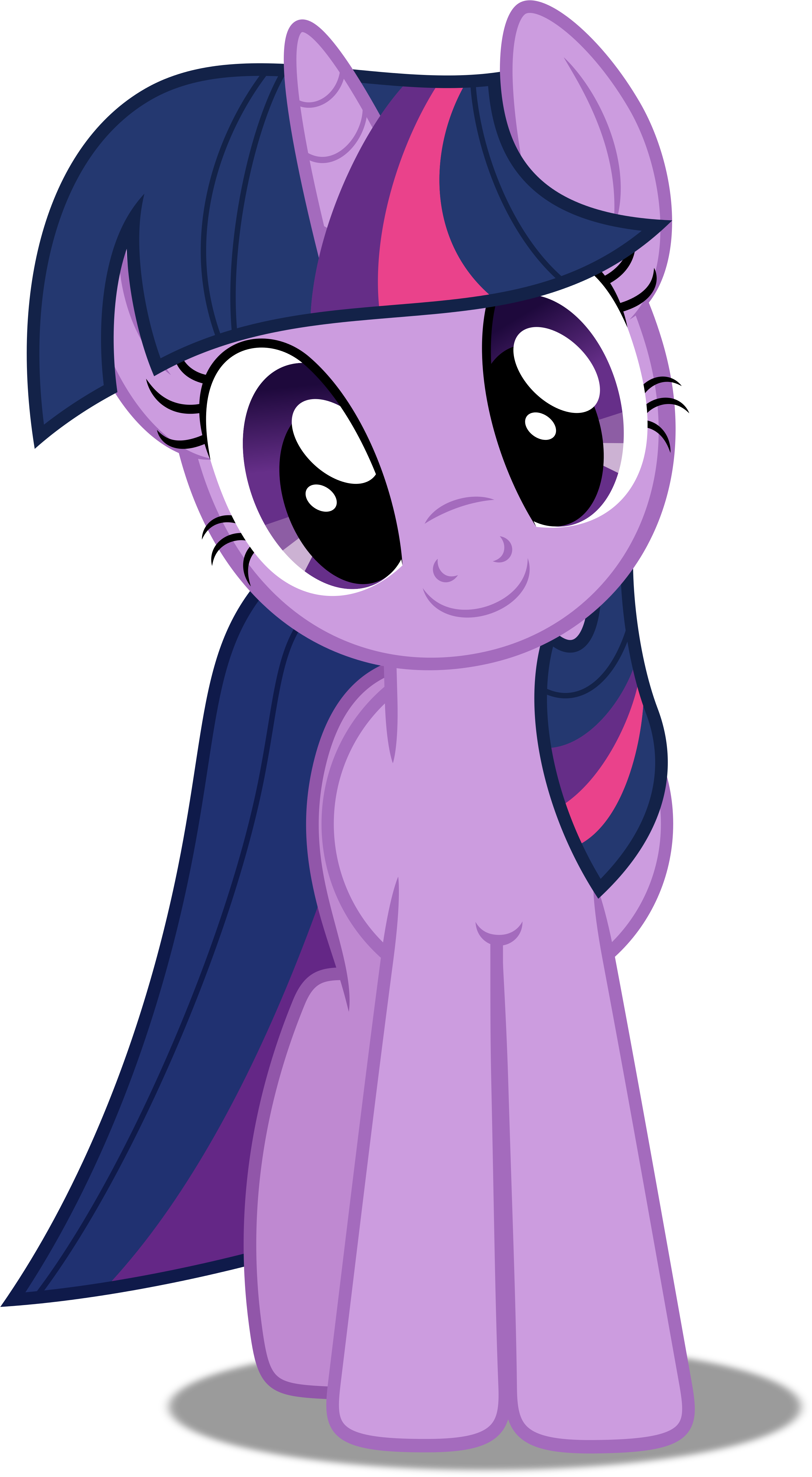 My Little Pony Friendship Is Magic Twilight Sparkle - My Little Pony - Season 2 Volume 1 (3205x5500)