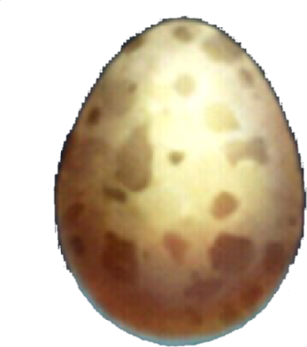 Ostrich Egg Tr - Ostrich Egg Png (720x720)