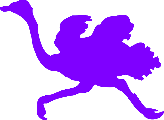 Ostrich Silhouette - Red Ostrich Silhouette Shower Curtain (960x700)