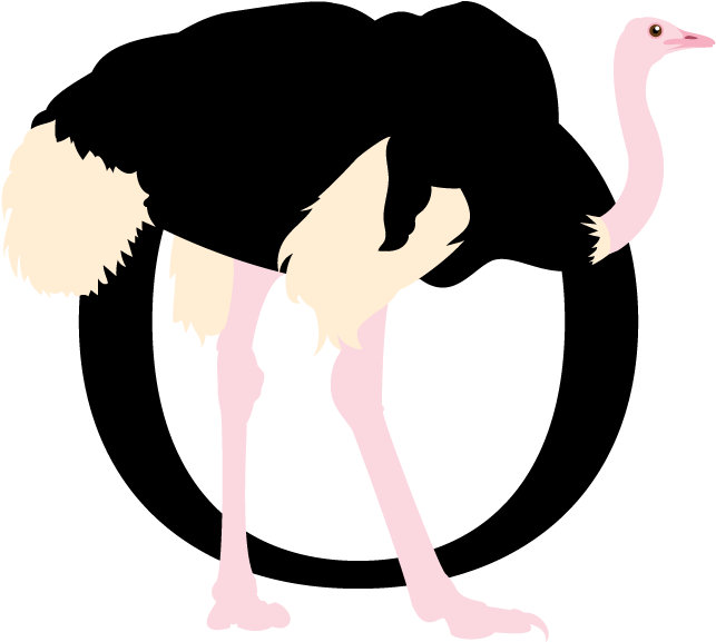 Ostrich Optima - Illustration (960x960)