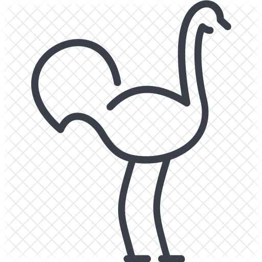 Ostrich Icon - Common Ostrich (512x512)