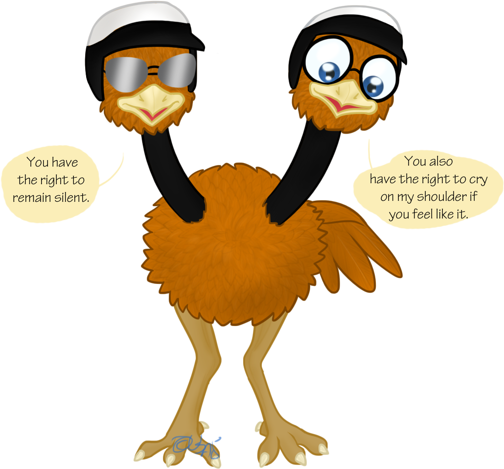 Good Cop Bad Cop The Doduo - Cartoon (1080x1080)