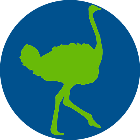 Common Ostrich (492x492)