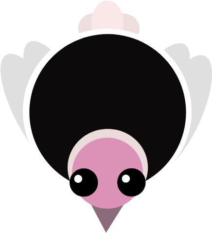 Artisticugli Ostrich - Cartoon (500x500)