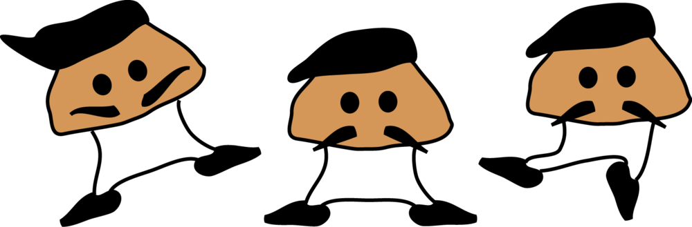 Psilocybe, Cyano And Fibrillosa Likes - Martha Stewart (1000x329)