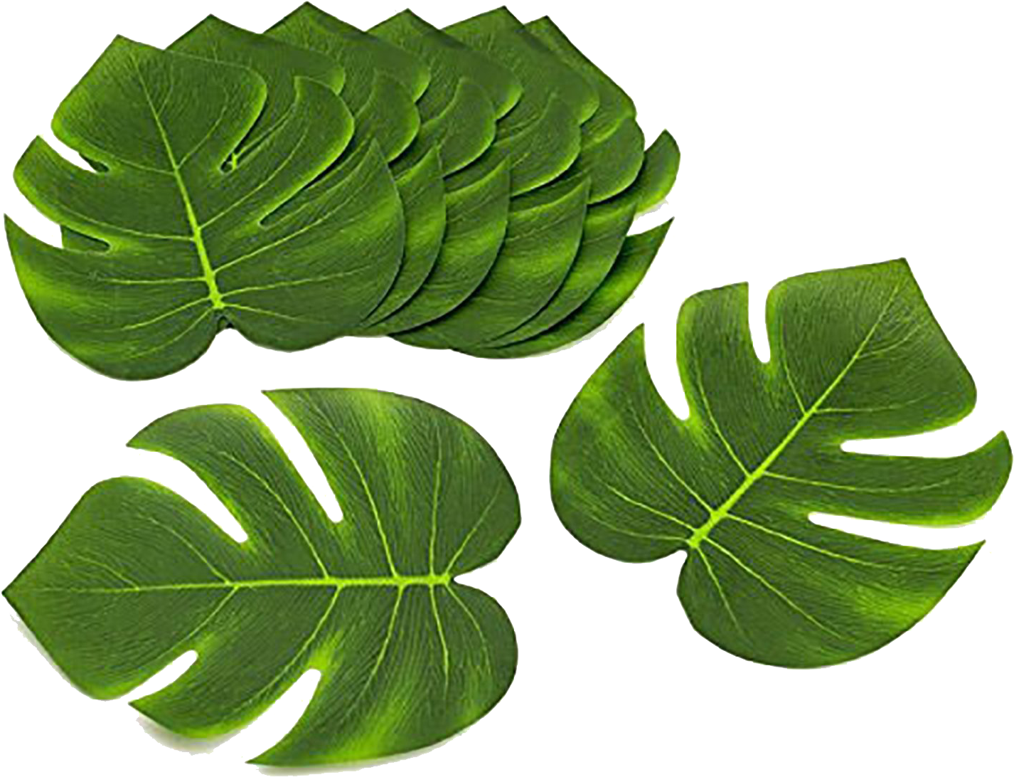 Green Leaves Png Background Clipart - Tropical Themed Party (1500x1500)