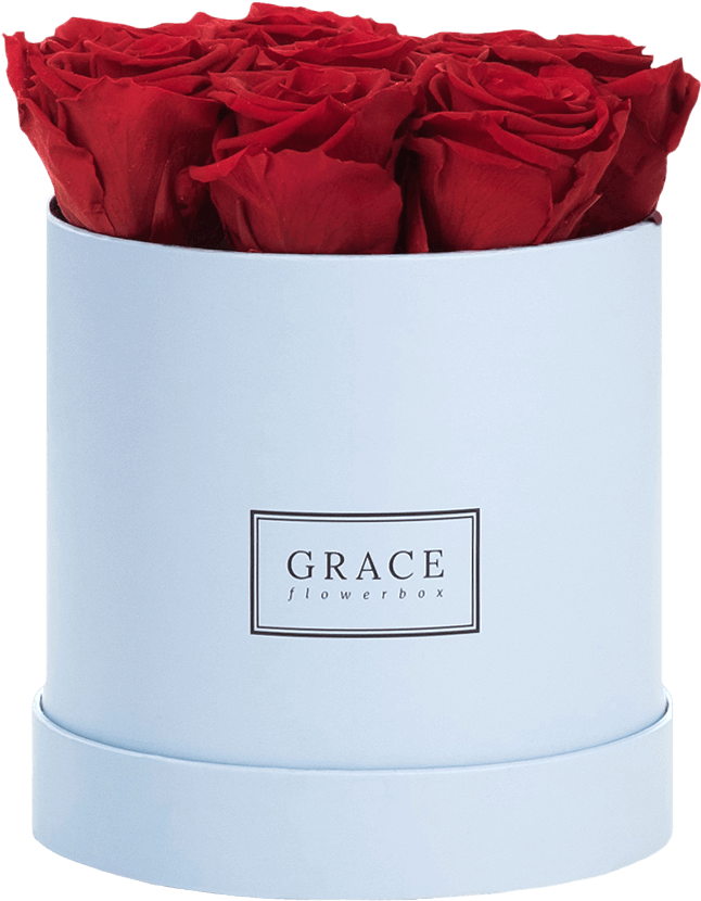 Garden Roses (794x1200)