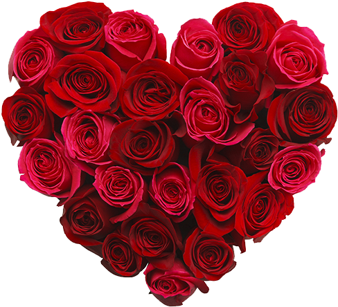 We Took A Look At The Top Cards And Flowers Brands - Red Roses Made Into A Heart (865x577)