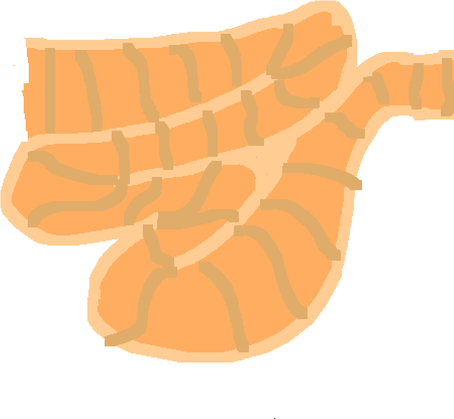 Small Intestine - Illustration (1000x1000)