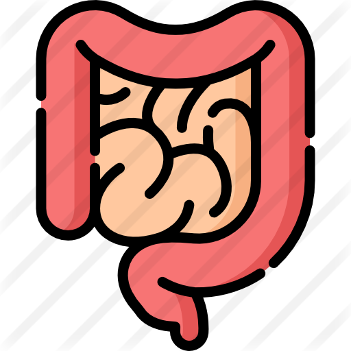 Intestine - Iconos De Intestino (512x512)