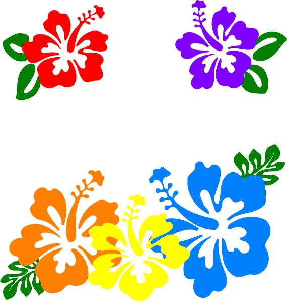 Hawaiian Flower Clip Art Borders - Clip Art (570x596)