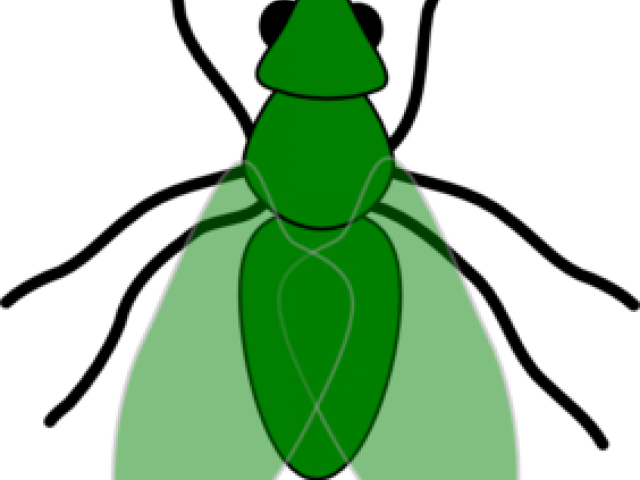 Fly Clipart Transparent - Fly Clip Art (640x480)