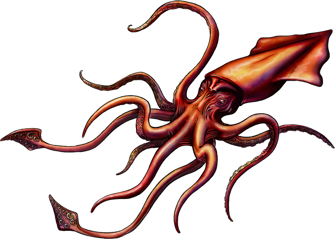 Cartoon Kraken Png (660x471)
