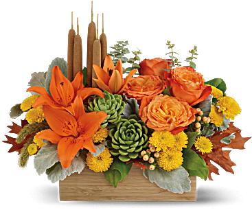 Jardin En Bambou Fleur Arrangement Floral De De Teleflora - Fall Flowers - Same & Next-day Flower Delivery (368x460)