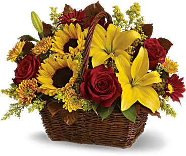 Sunny Day - Teleflora Golden Days Basket (368x460)