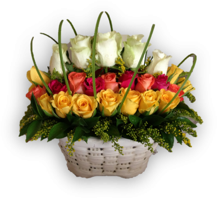 Ravishing Roses - Garden Roses (600x476)