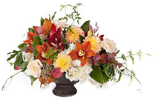 Tusk - Bouquet (550x450)