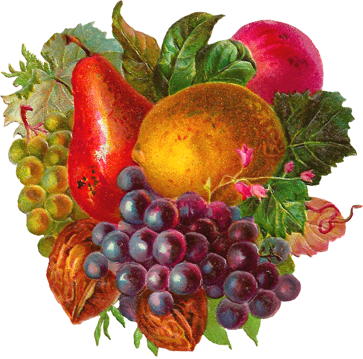 Mixed Fruit Clip Art - Fruit Vintage Png (1600x1555)