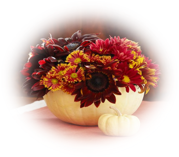 Orange Flowers White Pumpkins (600x529)