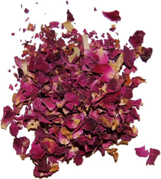 Red Rose Petals - Floral Design (1024x1024)