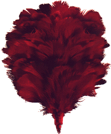 Since 1795 The Soldiers Of The 42nd Have Worn A Red - Black Watch Of Canada (450x486)