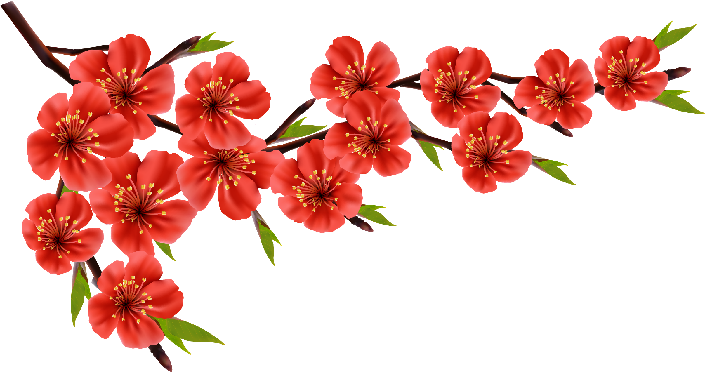 Flower Red Euclidean Vector Stock Photography - Flowers Red Vector Png (2756x2756)