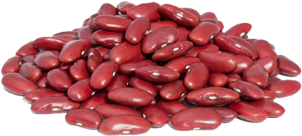 Back To Top - 100 Grams Of Kidney Beans (483x372)