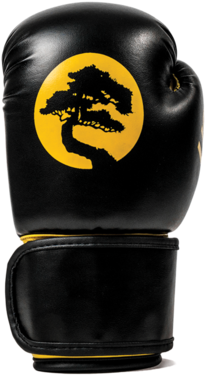 Ussd Sk1 Sparring Gloves Series - Amateur Boxing (600x600)