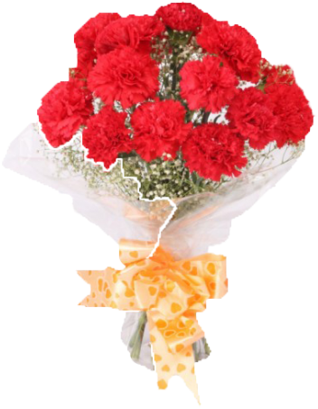 Red-carnation - Bunch Of Red Carnation (500x500)