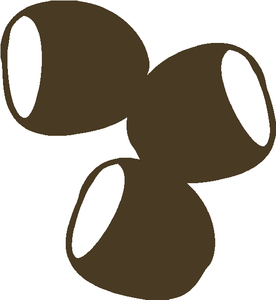 Nuts - Hazel (700x700)