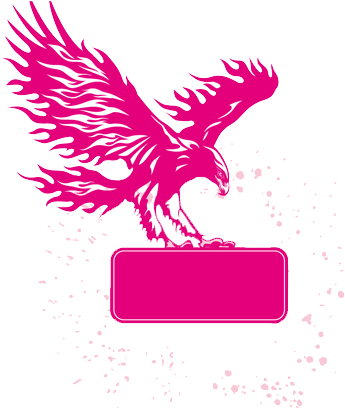 Sticker Wall Decal Adhesive Tape Eagle - Eagle Sticker (500x500)