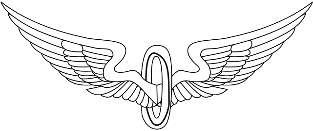 Drawing, Cartoon, Eagle, Angel, Wing, Fly - Wheel With Wings Png (640x320)