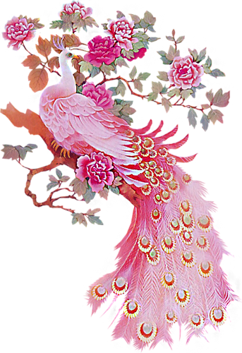 [ Img] - Good Morning Peacock Gif (343x500)