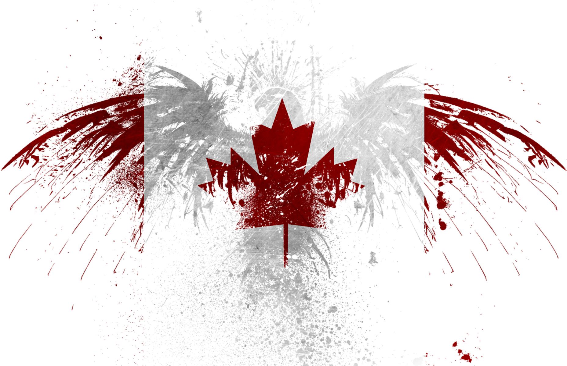 Png - Assassin's Creed Black Flag (1920x1200)
