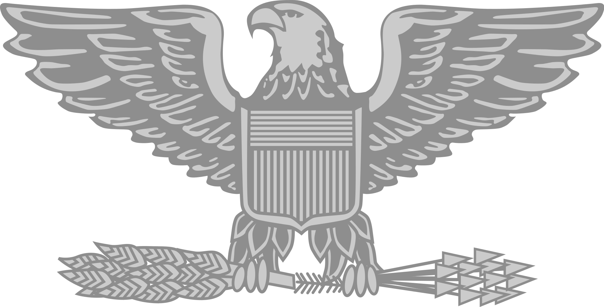 Black Eagle Clipart Military - Air Force Colonel Insignia (2000x1018)