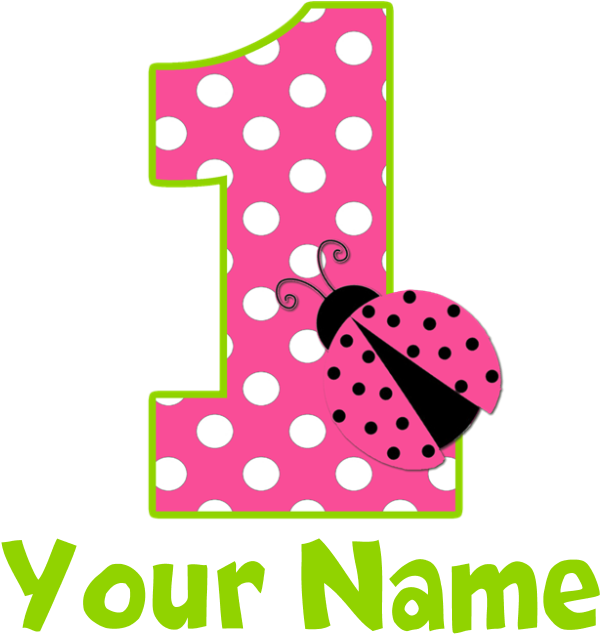 Pink Green Ladybug 1st Birthday Bib - Pink And Green Ladybug Png (700x700)