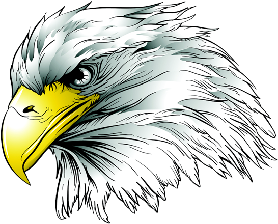 Louisiana War Eagles - Louisiana School For The Deaf War Eagle (750x450)