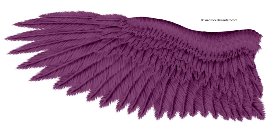 Violet Eagle Wing By K1ku-stock - Alas De Aguila Png (900x410)