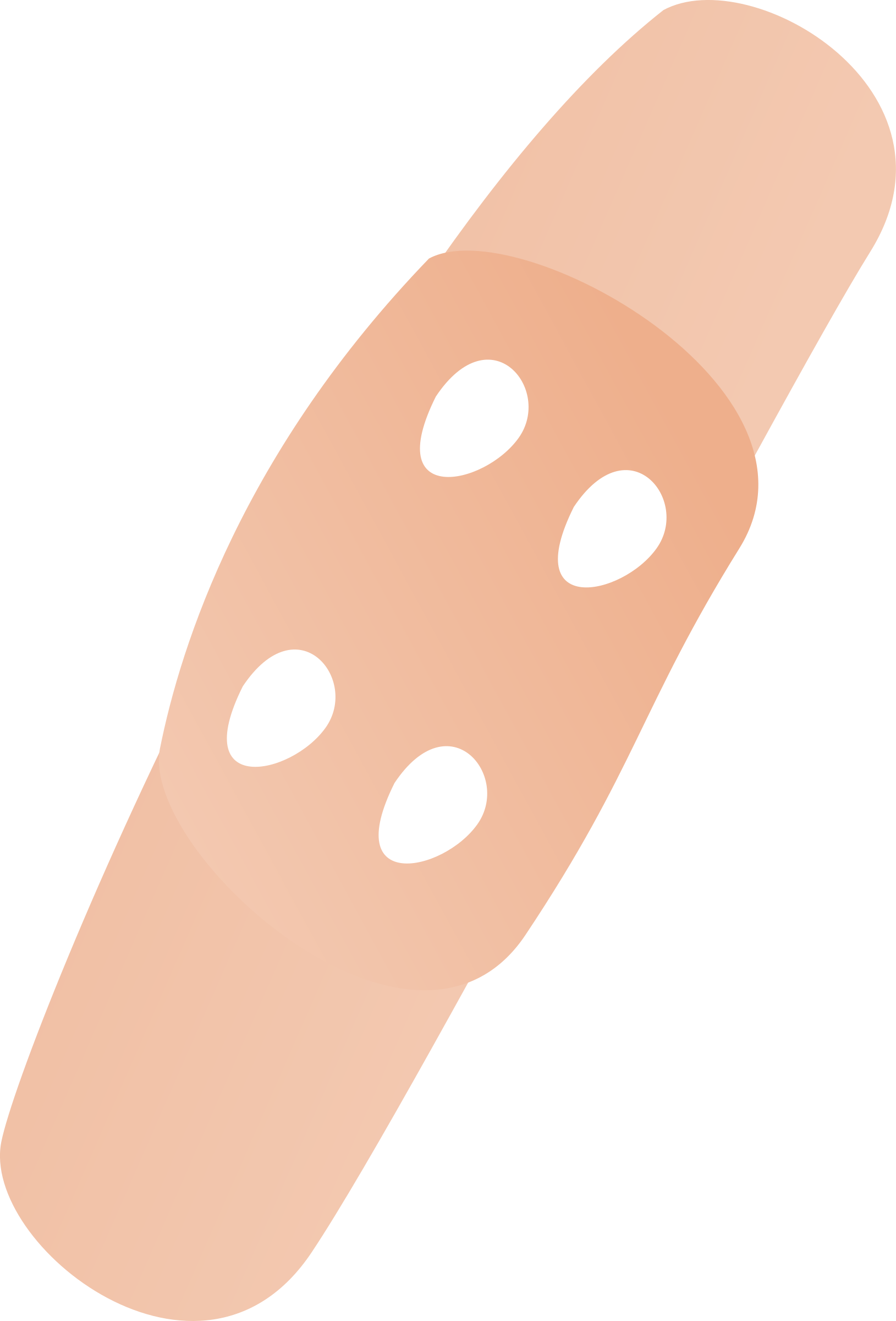 Big Image - Vegetable (1629x2400)